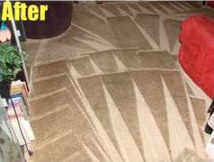 Carpet Cleaning Business Package